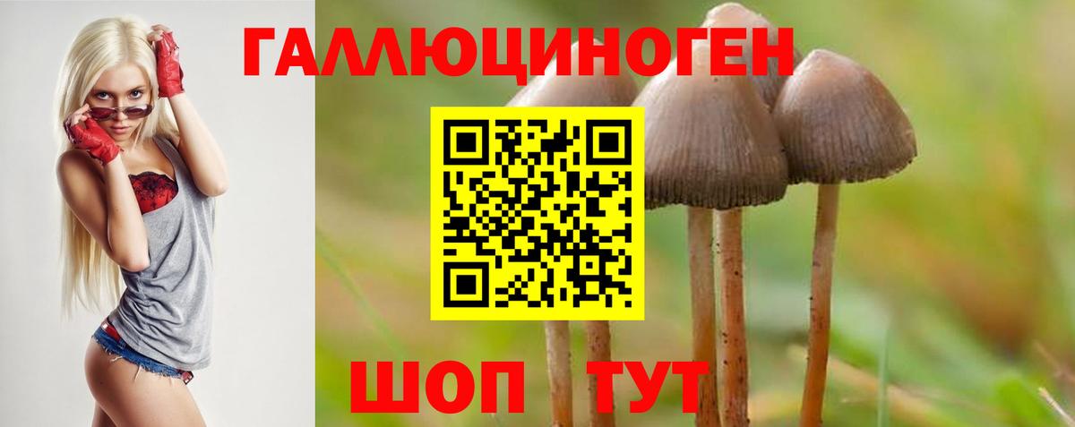 Галлюциногенные грибы GOLDEN TEACHER  купить   Елец  Галлюциногенные грибы Cubensis  Вход с VPN 